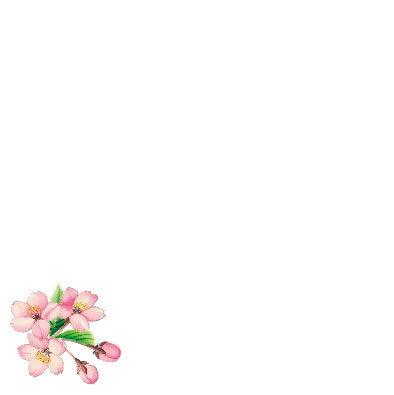 ミニ耐油天紙(100枚入) 桜(W66353) 敷紙 掛紙 天ぷら敷紙 ミニ(9.8×9.8cm) 天ぷら敷紙