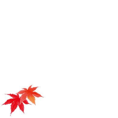 ミニ耐油天紙(100枚入) 赤もみじ(W66362) 敷紙 掛紙 天ぷら敷紙 ミニ(9.8×9.8cm) 天ぷら敷紙