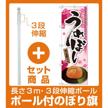 【プレゼント付】【セット商品】3m・3段伸縮のぼりポール(竿)付 のぼり旗 うめぼし (SNB-2023)