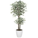 光触媒 人工観葉植物 造花 トロピカルベンジャミン斑入り 1.8 (高さ180cm) 店舗用品 光触媒 人工観葉植物・造花・フェイクグリーン フロア(鉢型)用 ...