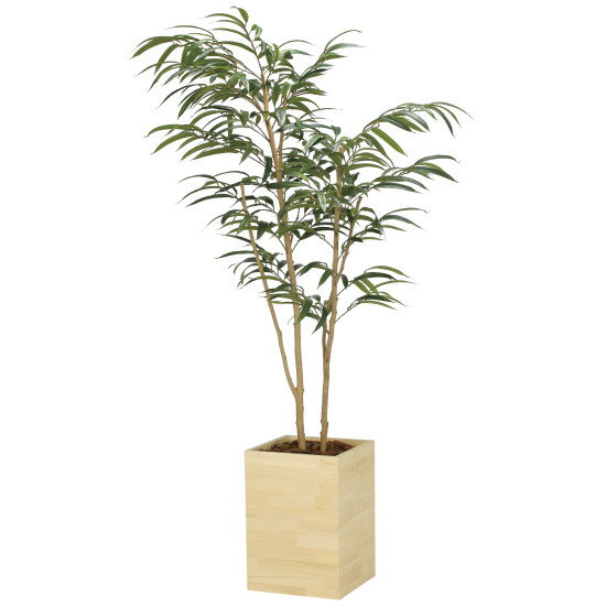 Buddhist Service, Obit, Higan - 光触媒 人工観葉植物 造花 ウッドボックスショウナンゴム1.8 (高さ180cm) (2300A580) 店舗用品 光触媒 人工観葉植物・造花・フェイクグリーン フロア(鉢型)用人工観葉植物 165cm以上