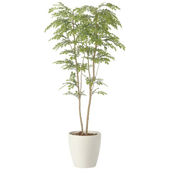 光触媒 人工観葉植物 造花 ライトトネリコ1.8 (高さ180cm) (2413P470) 店舗用品 光触媒 人工観葉植物・造花・フェイクグリーン フロア(鉢型)用人工観葉植物 165cm以上