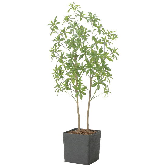 光触媒 人工観葉植物 造花 インテリアフレッシュアセビ1.5 (高さ150cm) (2575A370) 店舗用品 光触媒 人工観葉植物・造花・フェイクグリーン フロア(鉢型)用人工観葉植物 125～160cm