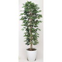 光触媒 人工観葉植物 ベンジャミンスリム1.6 (高さ160cm) 店舗用品 光触媒 人工観葉植物・造花・フェイクグリーン フロア(鉢型)用 125～160cm