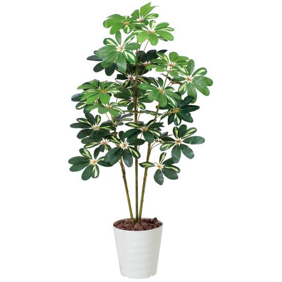 カポック 光触媒 人工観葉植物 カポック斑入り1.2 (高さ120cm) 店舗用品 光触媒 人工観葉植物・造花・フェイクグリーン フロア(鉢型)用 125cm未満