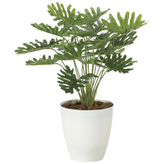 商品詳細を選択■高さ:45cm 45cm 45cmM光触媒 人工観葉植物 造花 フレッシュクッカバラ (高さ45cm) (2216A50)身近にグリーンを感じることで、心が癒やされます。商品スペックサイズ（W×D×H）32cm × 32cm × 45cm重量520g本体素材ポリエチレン+EVA花器素材ポリプロピレン生産国日本配送サイズ120cm鉢上面Φ14.5cm鉢底寸Φ9cm鉢高H15cm商品説明 酸化チタン光触媒は、植物の葉緑素が光のエネルギーを使って二酸化炭素を酸素に変えるように、太陽の光や可視光（屋内の目に見える光）のエネルギーを使って、種々の有機物やニオイを分解する作用があります。 こちらの商品は株式会社豊田中央研究所が開発した可視光応答型光触媒「V-CAT」を使用しております。 光触媒の機能でホコリ等が付着しても取りやすく、毛羽たきや手でホコリを軽く払って下さい。 ぬれタオル等で軽く拭いても光触媒の機能は残ります。 洗剤での洗浄は破損や脱色の恐れがあります。 商品はポリエステルやポリエチレンを主とした素材でできています。生花ではございません。 受注生産品になりますので、ご注文・ご入金後のキャンセルは出来ませんのでご注意下さい。 商品写真は実際の色とは若干異なる場合がございますので、予めご了承ください。 手作り商品のため、サイズの多少の誤差はご了承下さい。 記載のサイズは花または葉の先端までの大きさです。