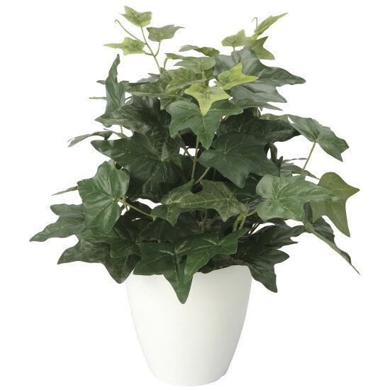 光触媒 人工観葉植物 造花 アイビ―M (高さ38cm) (2704A50)商品スペックサイズ（W×D×H）30cm × 30cm × 38cm重量600g本体素材ポリエステル+ポリエチレン花器素材ポリプロピレン生産国日本配送サイズ120cm鉢上面Φ14.5cm鉢底寸Φ9cm鉢高H15cm商品説明 酸化チタン光触媒は、植物の葉緑素が光のエネルギーを使って二酸化炭素を酸素に変えるように、太陽の光や可視光（屋内の目に見える光）のエネルギーを使って、種々の有機物やニオイを分解する作用があります。 こちらの商品は株式会社豊田中央研究所が開発した可視光応答型光触媒「V-CAT」を使用しております。 光触媒の機能でホコリ等が付着しても取りやすく、毛羽たきや手でホコリを軽く払って下さい。 ぬれタオル等で軽く拭いても光触媒の機能は残ります。 洗剤での洗浄は破損や脱色の恐れがあります。 商品はポリエステルやポリエチレンを主とした素材でできています。生花ではございません。 受注生産品になりますので、ご注文・ご入金後のキャンセルは出来ませんのでご注意下さい。 商品写真は実際の色とは若干異なる場合がございますので、予めご了承ください。 手作り商品のため、サイズの多少の誤差はご了承下さい。 記載のサイズは花または葉の先端までの大きさです。