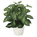 光触媒 人工観葉植物 カラジュームM (高さ36cm) 店舗用品 光触媒 人工観葉植物・造花・フェイクグリーン テーブル(卓上)用