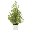 光触媒 人工観葉植物 ミニゴールドクレスト(ポリ製) (高さ31cm) 店舗用品 光触媒 人工観葉植物・造花・フェイクグリーン テーブル(卓上)用(4)