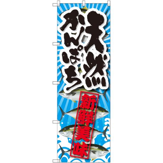のぼり旗 天然かんぱち 新鮮美味 (SNB-2360) ネコポス便 寿司・海鮮 寿司ネタ
