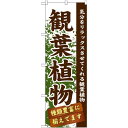 のぼり旗 表示:観葉植物 (GNB-1071) ネコポス便 花・園芸