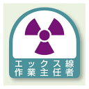 作業就任者ステッカー エックス線作業主任者 2枚1組 (851-33) 安全用品・工事看板 安全保護具 ヘルメット用ステッカー・用品