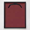 ユニフォーム額 前開き式ユニフォームケース 片面 通常アクリル(受注生産品) M ビター エンジ (Mae_uni_case_kata(m_bi_en)) イベント用品 ユニフォーム額縁