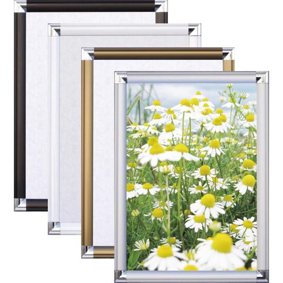 ポップフレーム B4 ブロンズ ポスターフレーム イレパネ (エコイレパネ) シリーズ B4サイズ