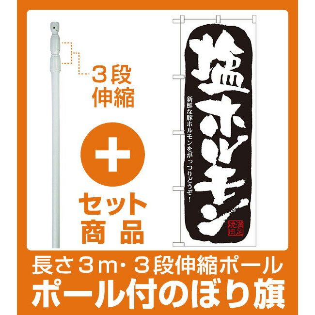 【セット商品】3m・3段伸縮のぼりポール(竿)付 のぼり旗 塩ホルモン (21127)