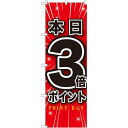 のぼり旗 本日3倍ポイント (GNB-1698) ネコポス便 セール・イベント・催事 ポイントUP・倍