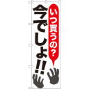 のぼり旗 いつ買うの?今でしょ!! (SNB-1608) ネコポス便 セール・イベント・催事 大売り出し