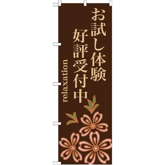 のぼり旗 お試し体験 好評受付中 (GNB-1374) ネコポス便 業種別 エステ・マッサージ・整体