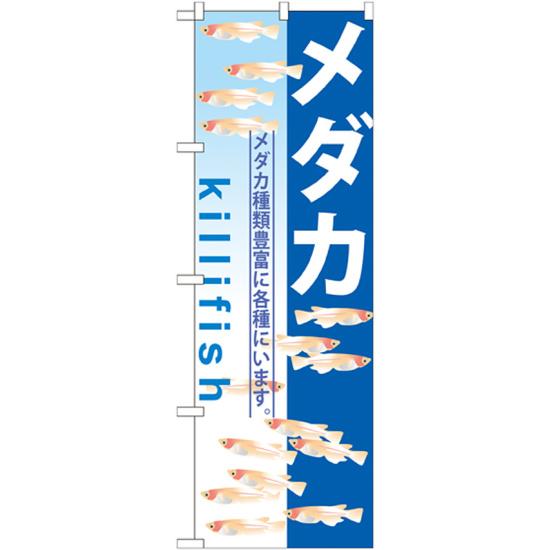 のぼり旗 メダカ killifish (GNB-571) ネコポス便 業種別 ペットショップ 熱帯魚・鯉