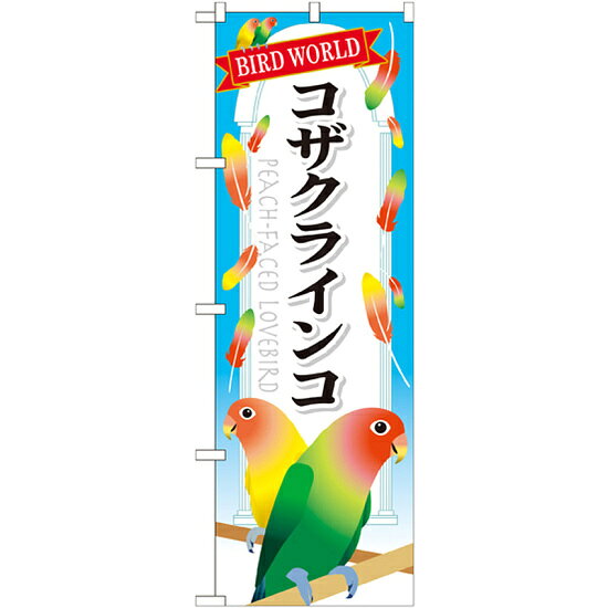 乐天商城 - のぼり旗 コザクインコ (GNB-615) ネコポス便 業種別 ペットショップ 鳥・インコ