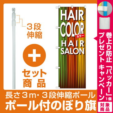 【セット商品】3m・3段伸縮のぼりポール(竿)付 のぼり旗 ヘアーサロン カラー (GNB-501)