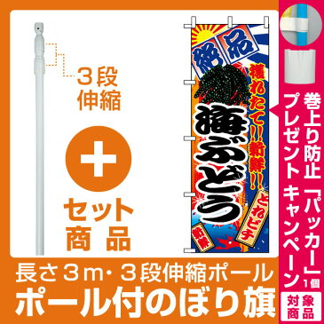 【セット商品】3m・3段伸縮のぼりポール(竿)付 のぼり旗 (2682) 海ぶどう