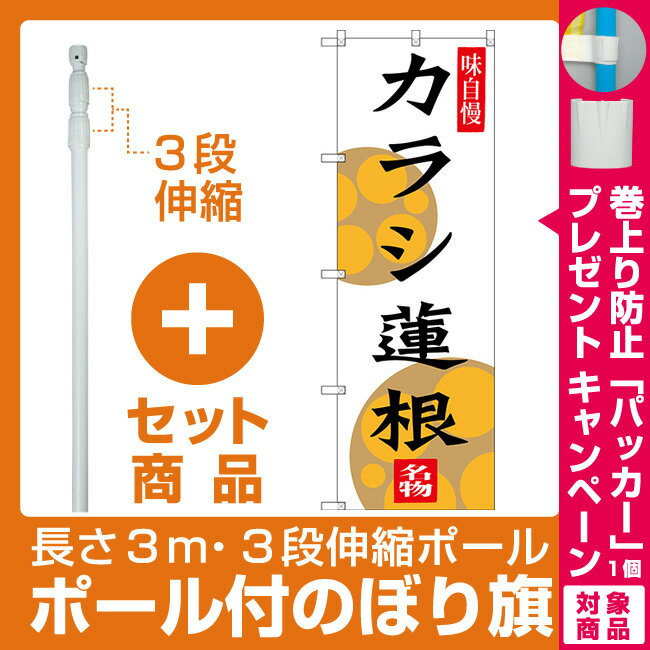 【プレゼント付】【セット商品】3m・3段伸縮のぼりポール(竿)付 のぼり旗 カラシ蓮根 (SNB-3282)