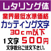 屋外耐候　レタリング体　30センチ