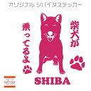 セミシルエット ワンポイント ステッカー 柴犬　1ペットステッカー犬　犬ステッカー　ペット　ペットステッカー　ステッカー オリジナルグッズ