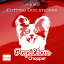 パピヨン 車 ステッカー 犬 ぱぴよん かわいい カッティング 転写式 窓 可愛い 車ステッカー かっこいい dog ドッグ イヌ いぬ ペット シール オリジナルデザイン プレゼント 記念 贈り物 3 オリジナルグッズ 3,850円