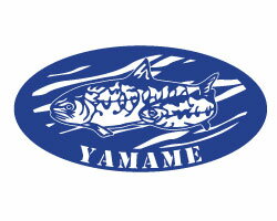 ヤマメステッカー ヤマメ 山女魚 やまめ カッティングステッカー ステッカー　カッティングシール オリジナルグッズ