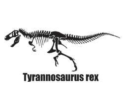 恐竜ステッカー　恐竜イラスト　骨格　カットステッカー　30センチタイプ恐竜ステッカー　恐竜シール　恐竜　ステッカー　シールカッティングステッカー　カッティングシート オリジナルグッズ