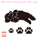 ウォールステッカー シープー mix ミックス犬 肉球 犬 dog かわいい ステッカー おしゃれ モノトーン 子供部屋 窓 トイレ 浴室 台所 キッチン 北欧...