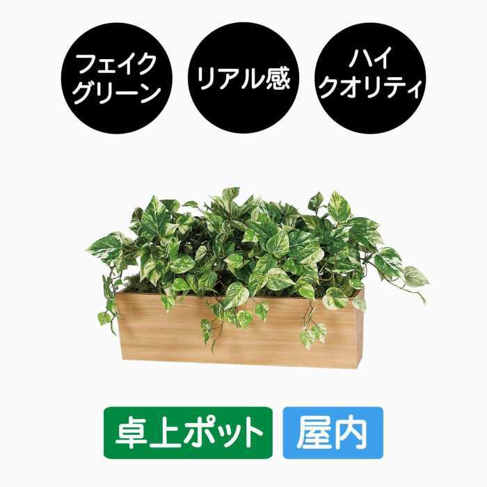 ե꡼  ݥå GR4316 ܥå 緿 W600 ꡼ݥå ¤ ꥢ ͹ʪ ƥꥢ ơ֥ ǥ Ź  ꡼⡼ ñ å 