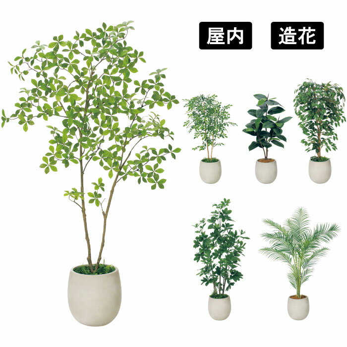 注意事項※屋外でのご使用はできません。風によるグリーンの抜けや、水がたまることで腐食の原因となります。 ※直射日光の当たる場所でのご使用も、色褪せの原因となりますのでご注意ください。 ※大型商品のため軒先渡しでのお届けとなります。 ※樹や枝...