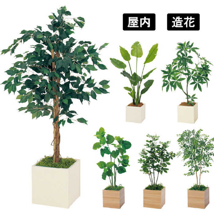 乐天商城 - 樹木プランター GR5013 / GR5079 / GR5111 / GR5016 / GR5080 / GR5112 人工樹木プランター フェイクグリーン 観葉植物風 四角形プランター 省スペース ディスプレイ オフィス 店舗 施設 インテリア 空間演出 ベルク グリーンモード