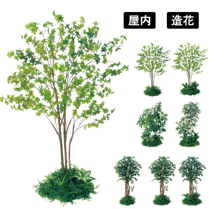 乐天商城 - テーブル樹木 GR5138 / GR5142 / GR5146 / GR5137 / GR5141 / GR5145 / GR5147 / GR5148 人工樹木 フェイクグリーン 観葉植物風 丸タイプ オフィス 会議室 カフェ エントランス インテリア ベルク グリーンモード