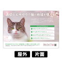 プレート看板 「猫のエサやり」 W900×H600mm 角R 穴5φ6カ所 【 寄付付き 】 エサやりマナー 野良猫対策 野良猫保護 さくら猫 地域猫活動 売上...