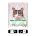 プレート看板 「猫のエサやり」 W450×H600mm 角R 穴5φ4カ所 【 寄付付き 】 エサやりマナー 野良猫対策 野良猫保護 さくら猫 地域猫活動 売上...