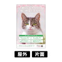 プレート看板 「猫のエサやり」 W300×H450mm 角R 穴5φ4カ所 【 寄付付き 】 エサやりマナー 野良猫対策 野良猫保護 さくら猫 地域猫活動 売上...