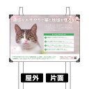 プレート看板 「猫のエサやり」 KCO-9060特注 打ち込み杭仕様 【 寄付付き 】 エサやりマナー 野良猫対策 野良猫保護 さくら猫 地域猫活動 売上の一部...