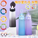 【SNSで話題!】 味が変わる 水筒 フレーバー ウォーターボトル フレーバーカプセル付き650ml 水筒 大容量 フレーバーカプセル ストロー スポーツドリンクボトル スポーツ用水筒 フレーバーウォーター 学校 旅行