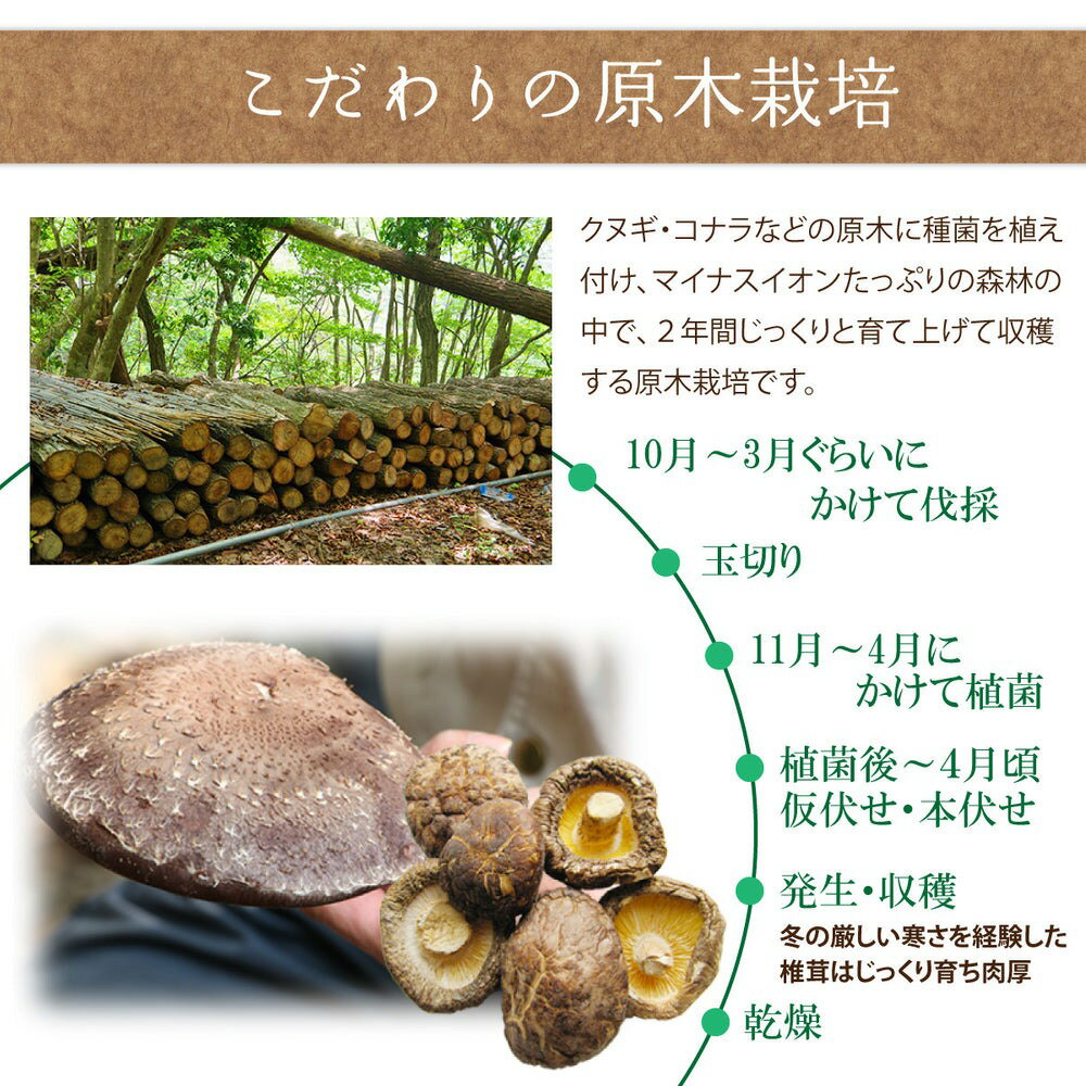 [100%伊豆産] しいたけパウダー 100g 2個セット 無添加 椎茸 粉末 国産 伊豆産原木椎茸100%使用 干しシイタケ 明治7年創業 おいしい きのこ 200g