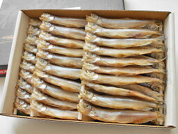 ししゃも オス (天然シシャモ) 30尾送料無料 北海道産 柳葉魚一夜干