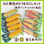 【送料無料】白いとうもろこしと黄色いとうもろこしセット(レトルト・優味(ゆうみ)・ピュアホワイト各5本:計10本)【通常便(常温便)】