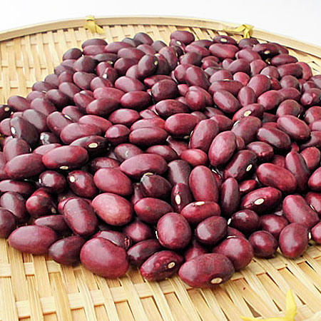 北海道産金時豆(大正金時)5kg