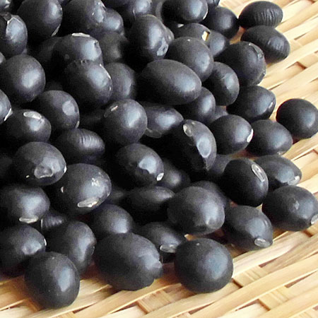 北海道産 黒大豆 1kg