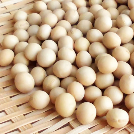 北海道産 大豆 1kg 北海道産 大豆 1kg