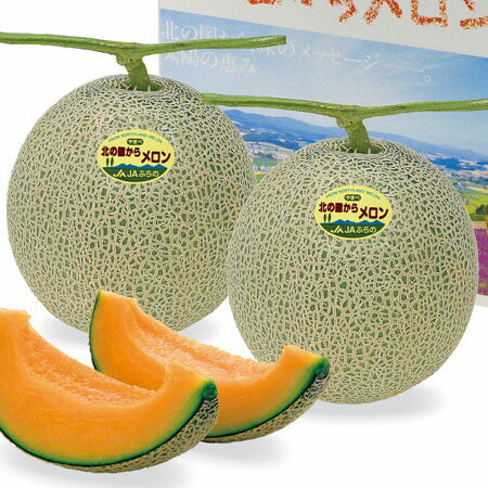 北海道産 富良野メロン 秀 1.6kg×2玉送料無料出荷期間 7月中旬〜9月中旬 北海道産 富良野メロン 秀 1.6kg×2玉送料無料出荷期間 7月中旬〜9月中旬