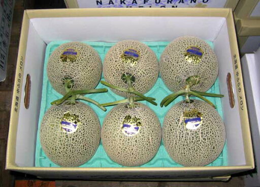 北海道産 富良野メロン 秀 1.3kg×6玉送料無料出荷期間 7月中旬〜9月中旬 北海道産 富良野メロン 秀 1.3kg×6玉送料無料出荷期間 7月中旬〜9月中旬